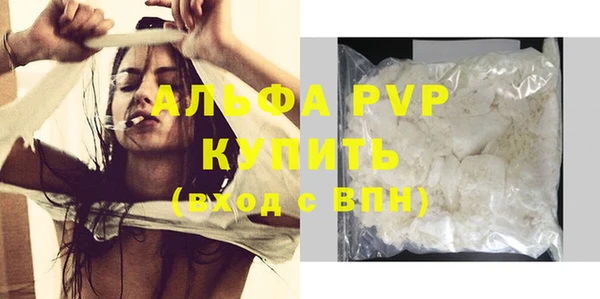 индика Осинники
