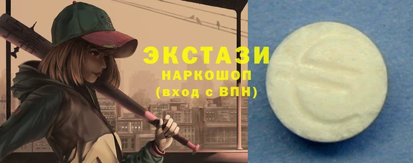 индика Осинники