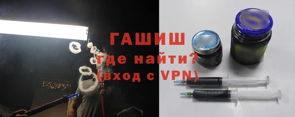 индика Осинники