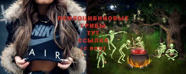 таблы Алзамай