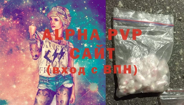 индика Осинники