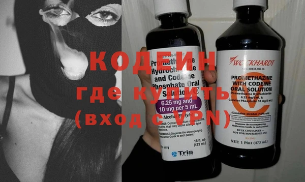индика Осинники